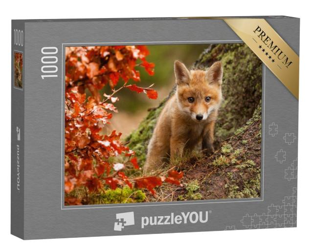 Puzzel 1000 stukjes „Nieuwsgierig vossenjong“