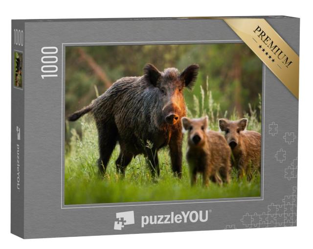 Puzzel 1000 stukjes „Familie van wilde zwijnen met jonge zwijnen“