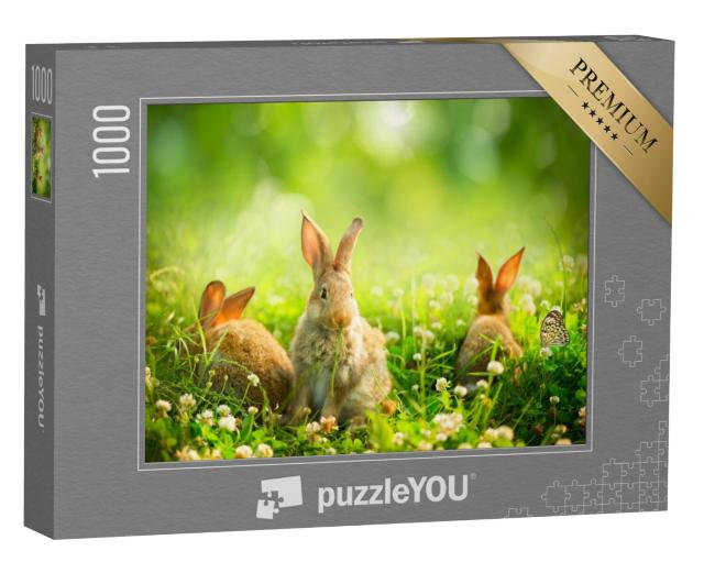 Puzzel 1000 stukjes „Konijnen tussen lentebloemen en groen gras“