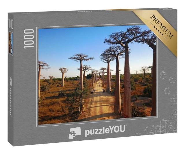 Puzzle 100 Teile „Madagaskar's Baobabs,Luftaufnahmen,Morondava Region,Baobabs Schöne Aussicht“
