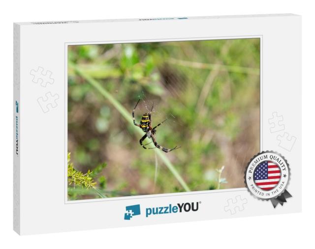 Yellow Garden Spider on Spider Web... Jigsaw Puzzle