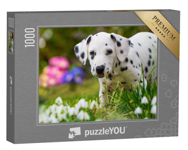 Puzzel 1000 stukjes „Dalmatiër puppy met lentebloemen“