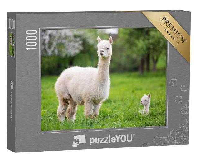 Puzzel 1000 stukjes „Een witte alpaca met welpen“