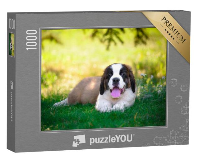 Puzzel 1000 stukjes „Een sint-bernard puppy“