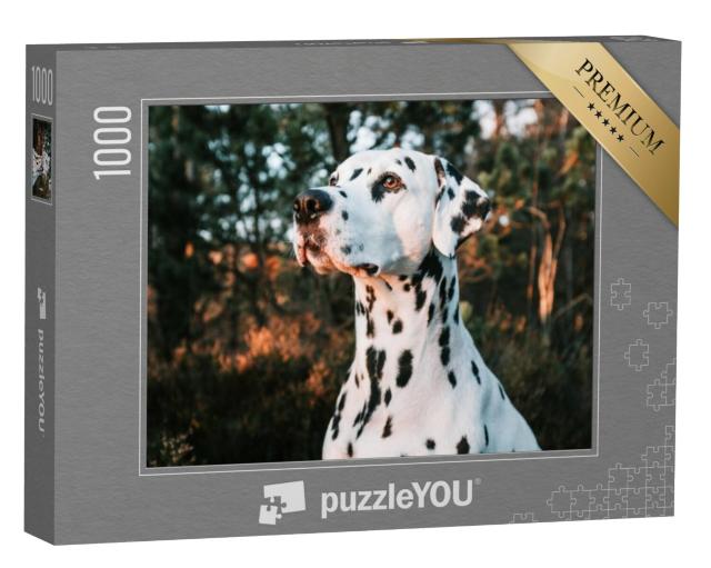 Puzzel 1000 stukjes „Een dalmatiër bij zonsondergang“