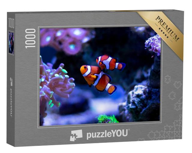 Puzzel 1000 stukjes „Clownvissen zwemmen in een aquarium“