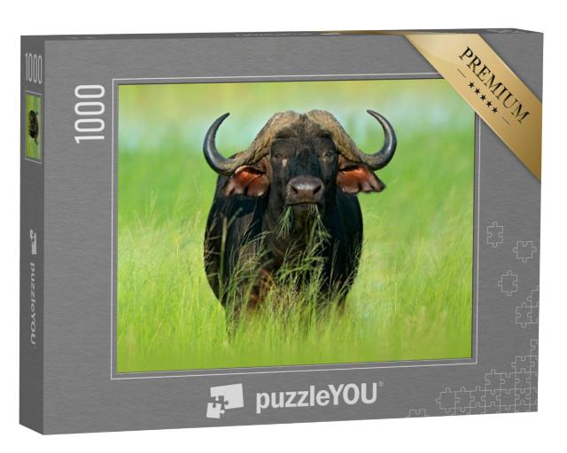 Puzzel 1000 stukjes „Afrikaanse buffels in de Okavango Delta, Botswana“