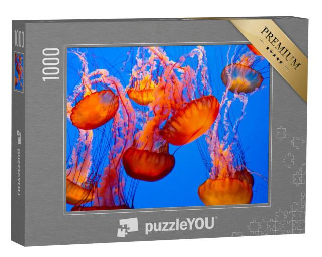 Puzzel 1000 stukjes „Spectaculaire oranje kwal“