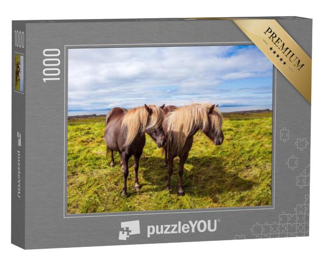 Puzzel 1000 stukjes „IJslandse paarden in de zomerse toendra van IJsland“