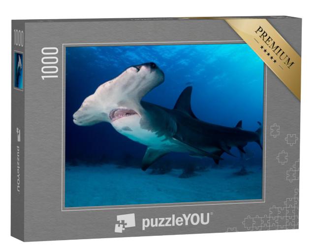 Puzzel 1000 stukjes „Grote hamerhaai op de Bahama's“