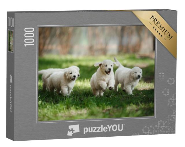 Puzzel 1000 stukjes „Golden retriever puppy's in het park“