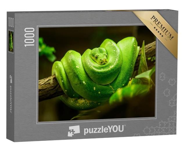 Puzzel 1000 stukjes „Groene slang op de tak“