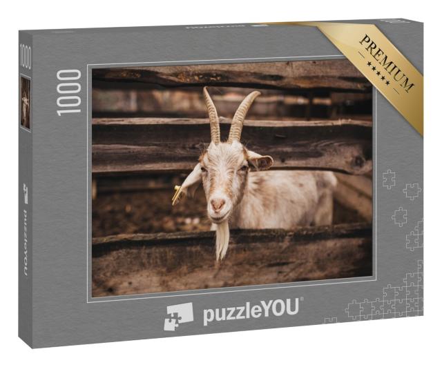 Puzzle 1000 Teile „Schöne helle Ziege, die auf dem Bauernhof lebt, Zaun aus Holz“