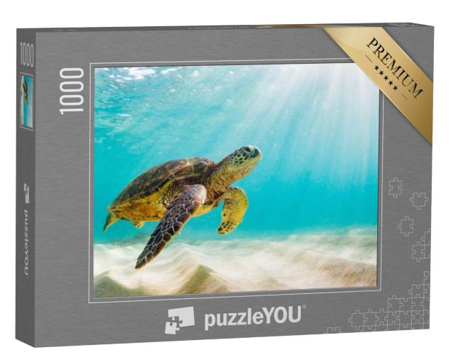 Puzzel 1000 stukjes „Zeeschildpad in de wateren van de Galapagoseilanden“