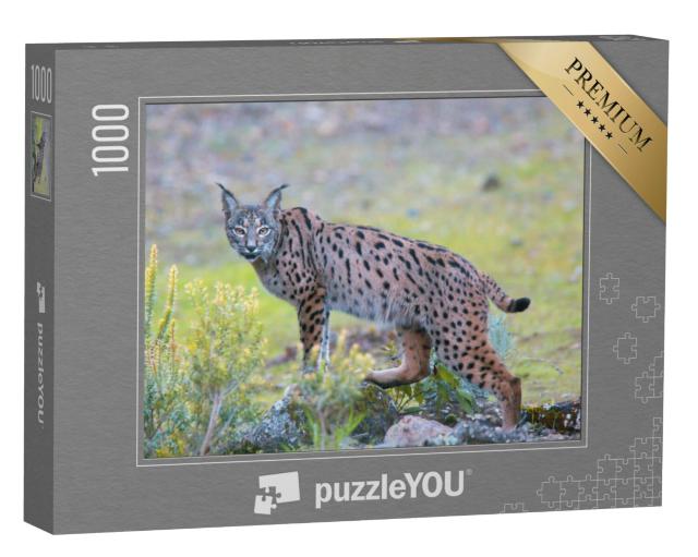 Puzzel 1000 stukjes „Iberische lynx in de Sierra Morena, Andalusië“