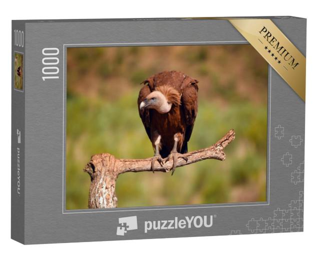 Puzzel 1000 stukjes „Majestueuze vale gier“