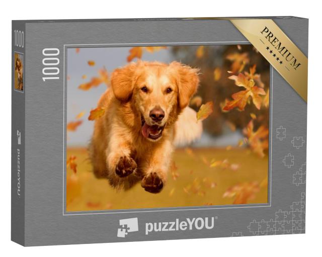 Puzzel 1000 stukjes „Golden Retriever ravotten door herfstbladeren“