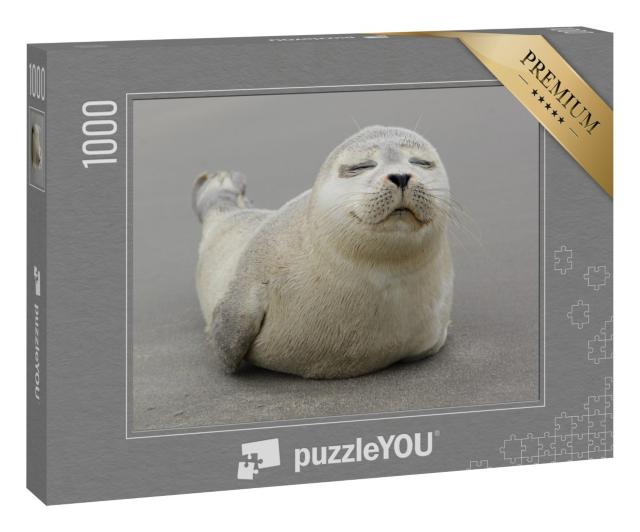 Puzzle 1000 Teile „Niedliches Kegelrobbenjungtier“