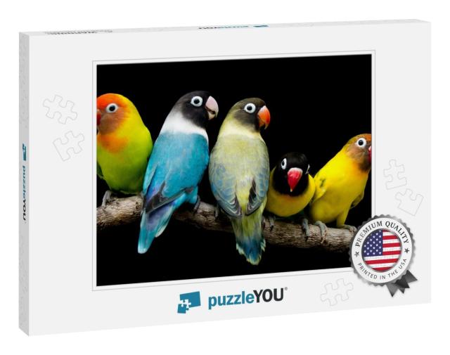 Lovebird Parrot There Are Beautiful Colors & Very Loving... Jigsaw Puzzle