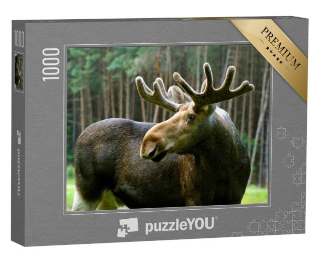 Puzzel 1000 stukjes „Eland in zijn natuurlijke omgeving“