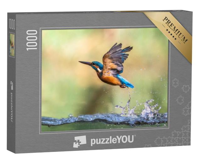 Puzzel 1000 stukjes „IJsvogel vliegt uit het water“