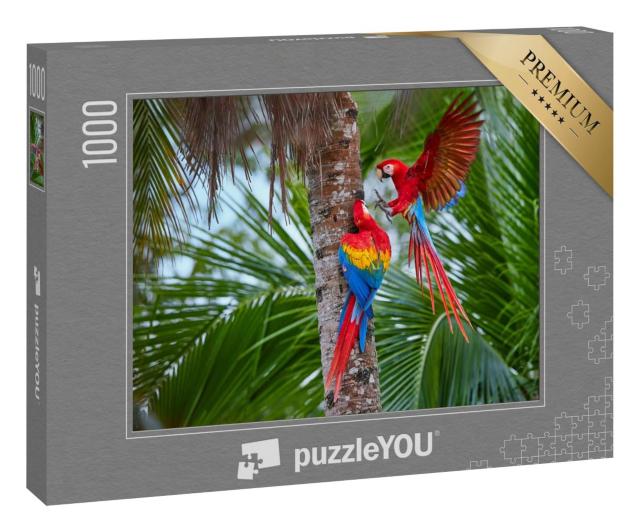 Puzzle 1000 Teile „Amazonas-Papageien an einer Palme“