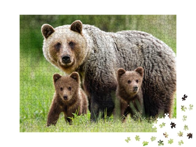 Puzzle 1000 Teile „Beschützendes Braunbärenweibchen: Tierfamilie mit zwei Jungen“