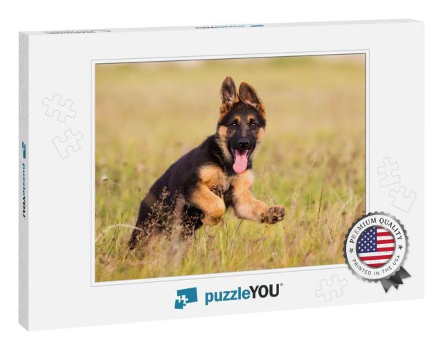 German Shepherd Puppy Runs on the Grass... Jigsaw Puzzle