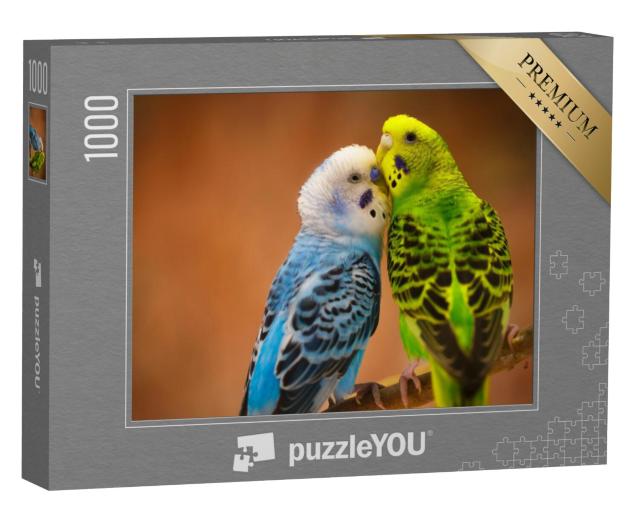 Puzzel 1000 stukjes „Blauw-wit-groene grasparkiet op een tak“