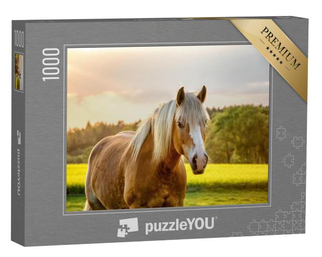 Puzzel 1000 stukjes „Paard in de gouden zonsondergang“