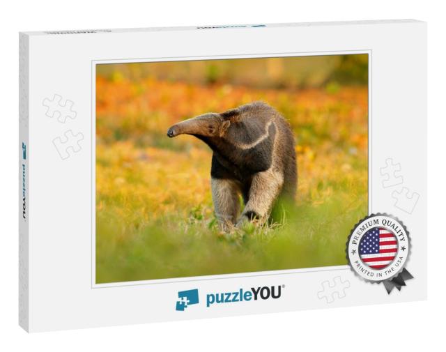 Anteater, Cute Animal from Brazil. Giant Anteater, Myrmec... Jigsaw Puzzle