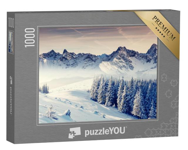 Puzzel 1000 stukjes „Fantastisch winterlandschap. Dramatisch bewolkte lucht. Creatieve collage. Wereld van schoonheid“