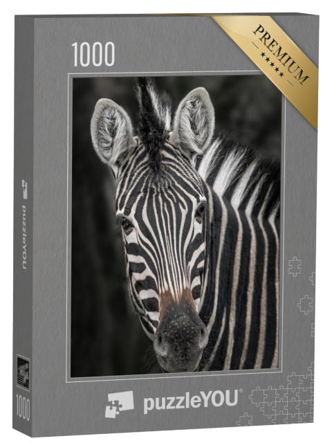 Puzzel 1000 stukjes „Close-up van een zebra“