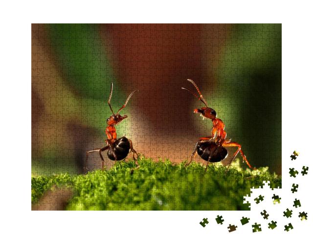 Puzzle 1000 Teile „Kampf von zwei Ameisen“