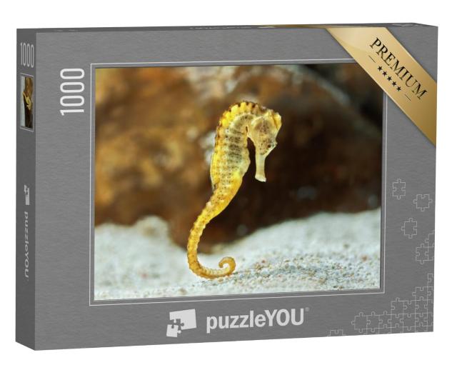 Puzzel 1000 stukjes „Zeepaardjes op de bodem van de zee“