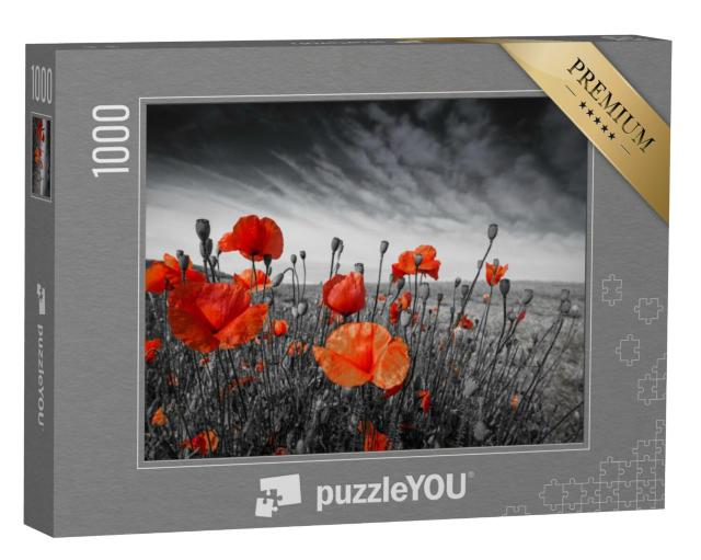 Puzzel 1000 stukjes „Klaprozen in een weiland“