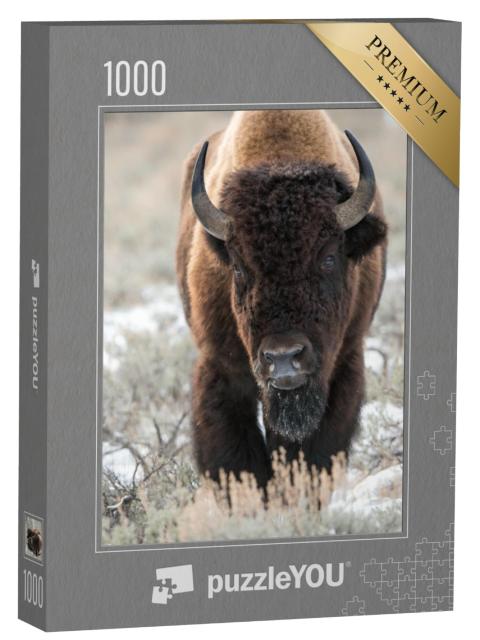 Puzzel 1000 stukjes „Een bizon, buffel“