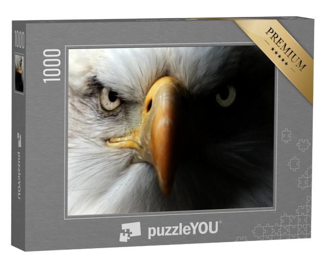 Puzzel 1000 stukjes „Arend: close-up als portret“