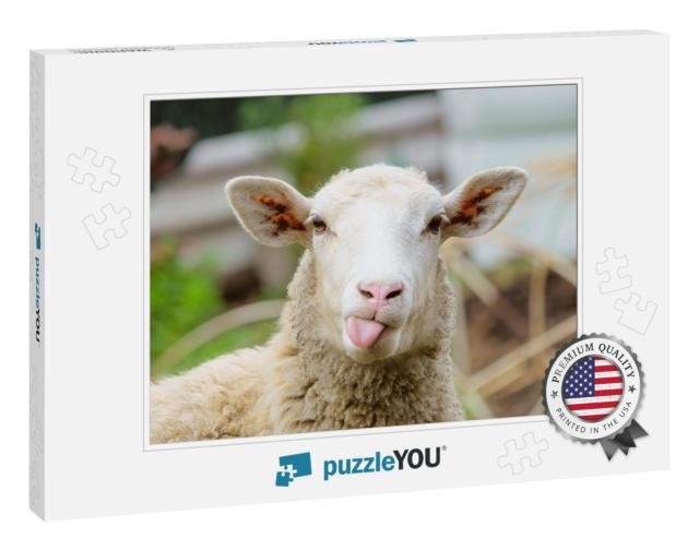 Funny Sheep. Portrait of Sheep Showing Tongue... Jigsaw Puzzle