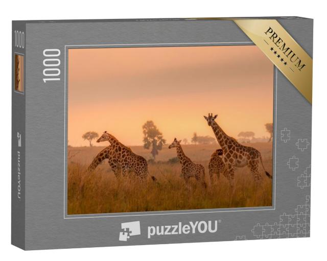 Puzzel 1000 stukjes „Rothschild giraffen bij zonsopgang, Murchison Falls National Park, Oeganda“