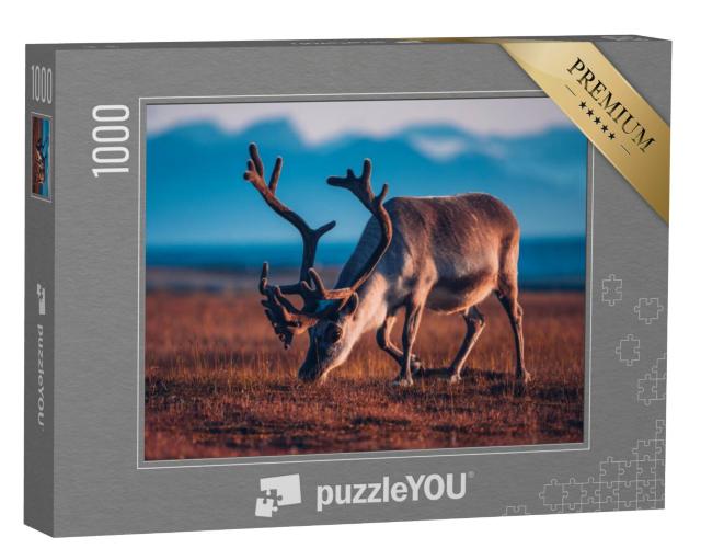 Puzzel 1000 stukjes „Rendieren grazen in het avondlicht“