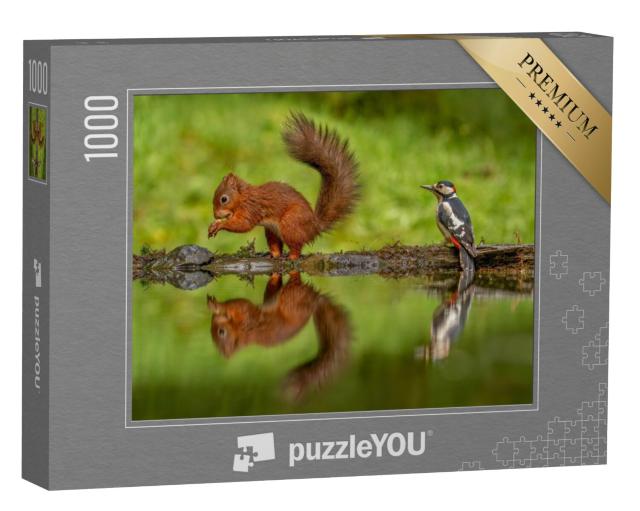 Puzzel 1000 stukjes „Rode eekhoorn en een grote bonte specht“