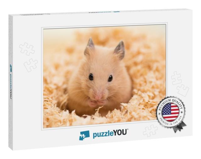 Golden Hamster on Wooden Chips... Jigsaw Puzzle