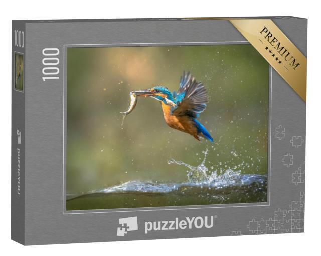 Puzzel 1000 stukjes „IJsvogel met vis in zijn snavel komt tevoorschijn“