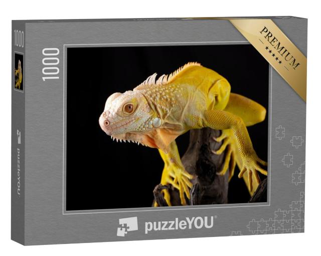 Puzzel 1000 stukjes „Gele leguaan“