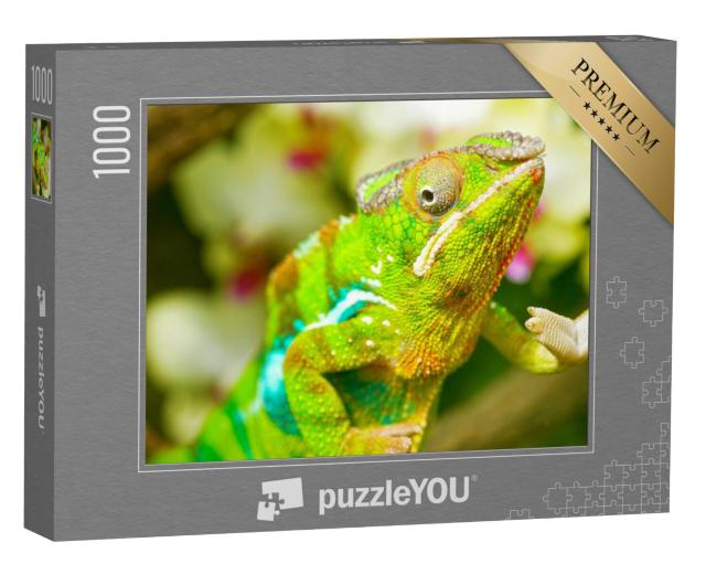 Puzzel 1000 stukjes „Kleurrijke kameleon“