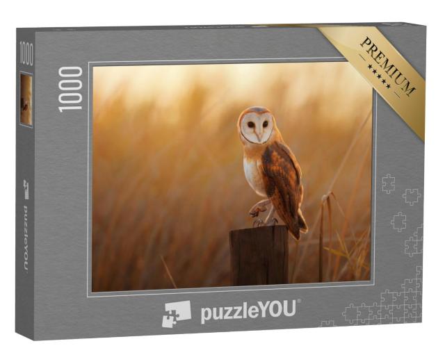 Puzzel 1000 stukjes „Prachtige kerkuil op een boomstronk“