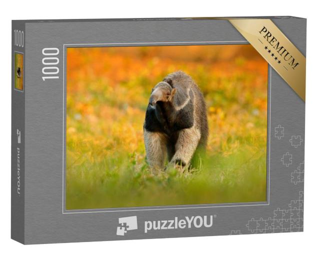 Puzzel 1000 stukjes „De miereneter, een dier uit Brazilië“