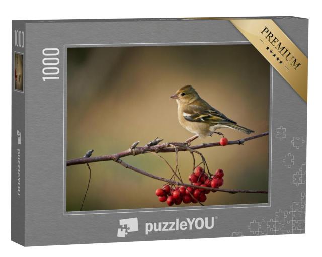 Puzzel 1000 stukjes „Vink op een tak met rode bessen“