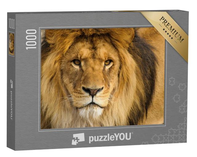 Puzzel 1000 stukjes „Portret van een leeuw“